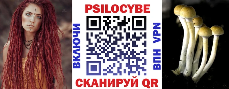 Псилоцибиновые грибы Cubensis продажа наркотиков Городище